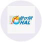 Hindustan Aeronautics Limited