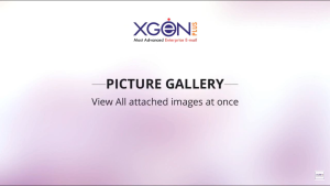 Picture Gallery - View Picture Album Shared On Email All At One Place