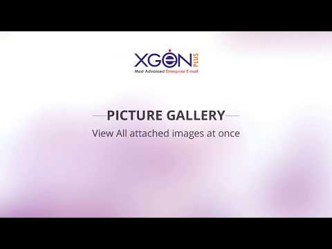 Picture Gallery - View Picture Album Shared On Email All At One Place